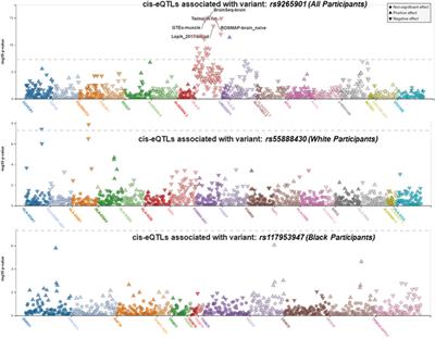 Race/ethnicity-stratified fine-mapping of the MHC locus reveals genetic variants associated with late-onset asthma